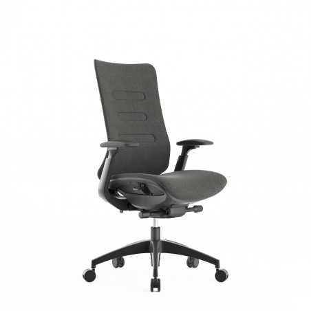 Silla ergonómica de dirección Diana Plus