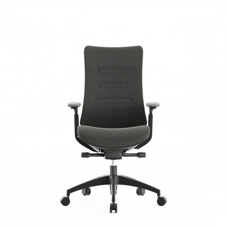 Silla ergonómica profesional Diana Plus