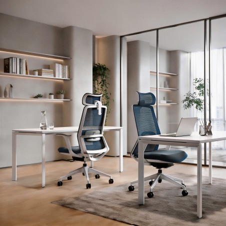 Silla ergonómica Emma Plus