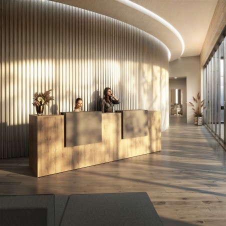 Mostrador Sotto espacio de recepción