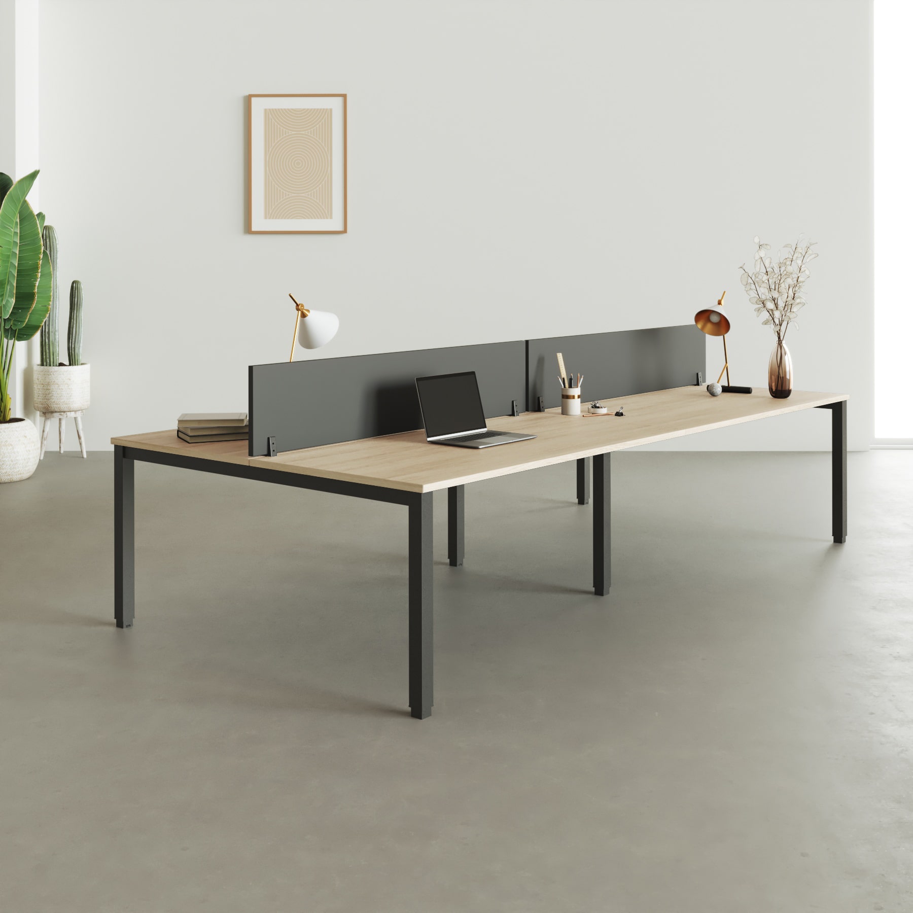 Bench Modus Graphite